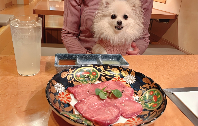 特選牛タンとゆめちゃん