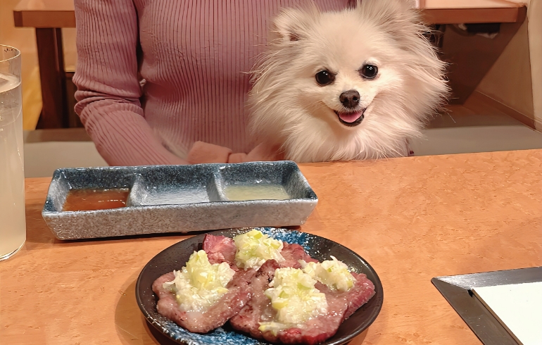 ネギ塩特選牛タンとゆめちゃん