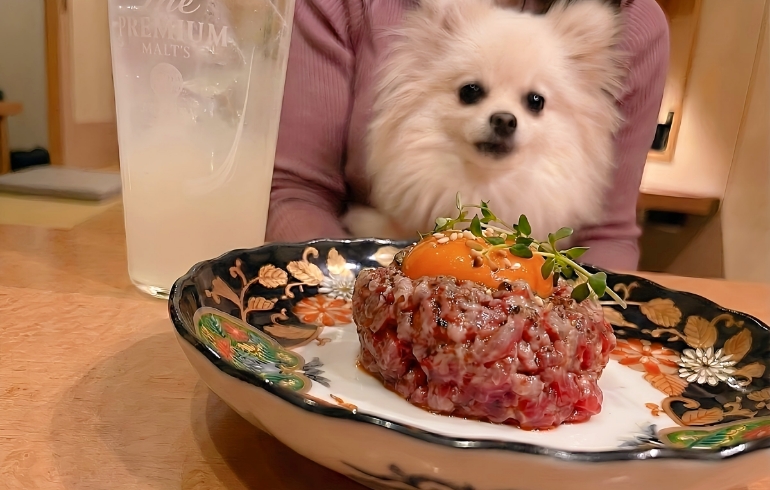炙りユッケとゆめちゃん