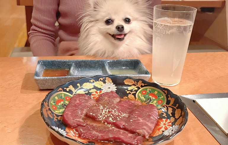 肉Qハラミとゆめちゃん