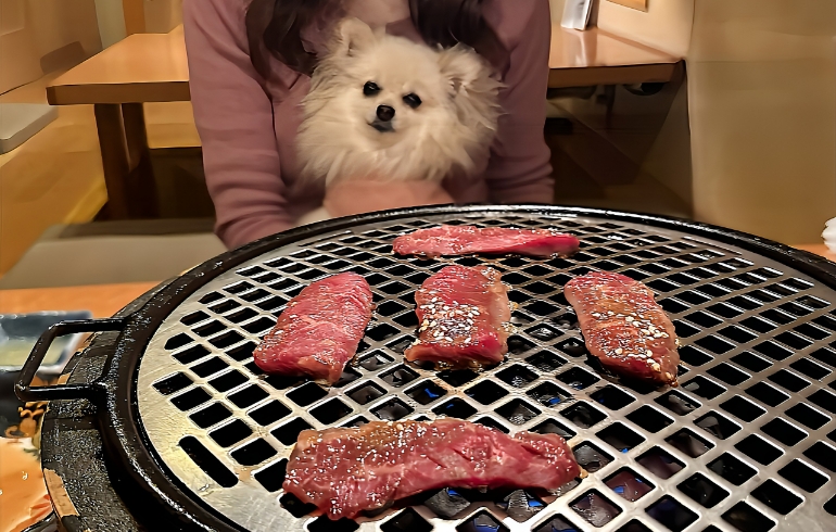 肉Qハラミ（焼き中、半生）とゆめちゃん