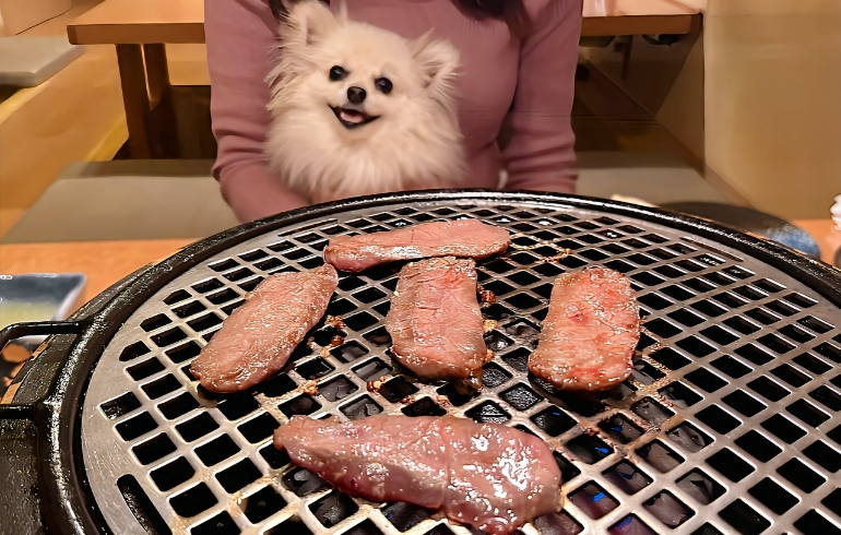 肉Qハラミ（焼き中）とゆめちゃん