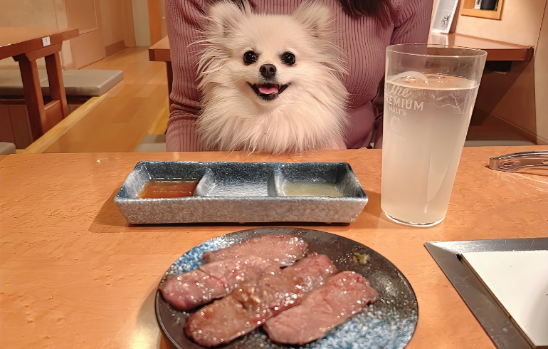 肉Qハラミ（焼き後）とゆめちゃん