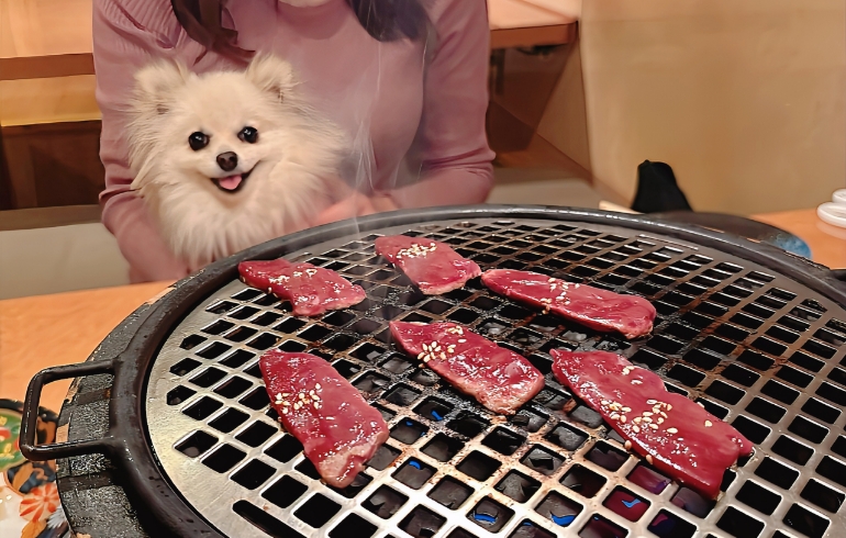生レバー焼き（焼き中）とゆめちゃん