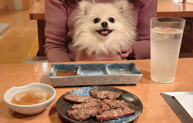 生レバー焼き（焼き後）とゆめちゃん