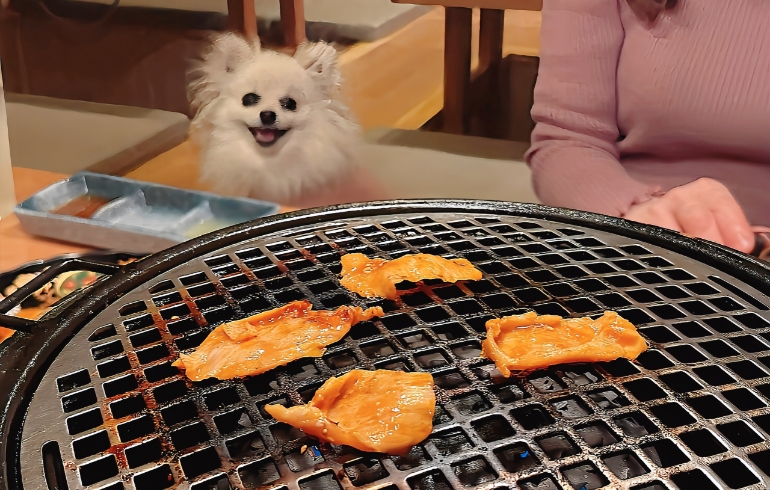 上ミノ（焼き中）とゆめちゃん