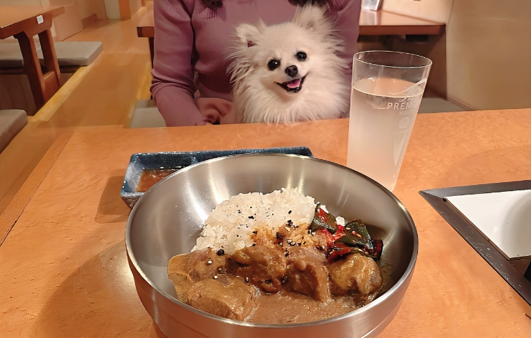 肉Qカレーとゆめちゃん