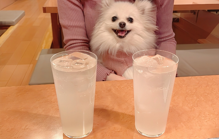 肉Qサワーと柚子蜜サワーとゆめちゃん