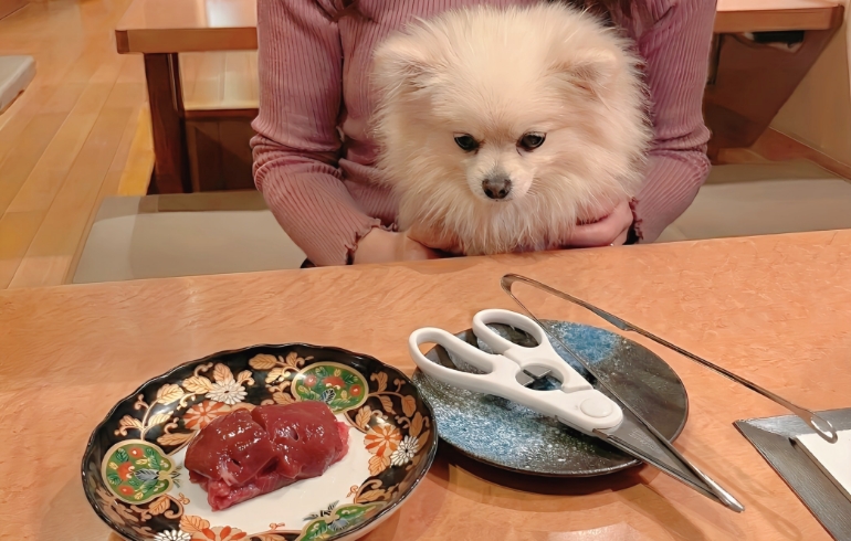 ワンちゃんメニュー肉とゆめちゃん