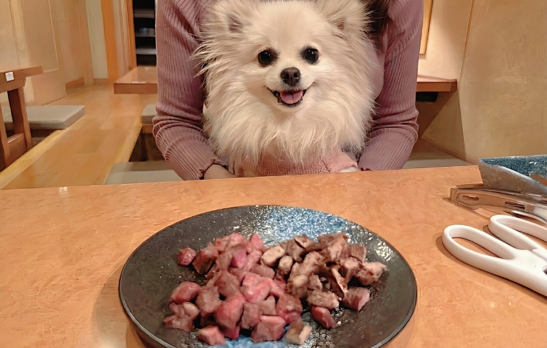 ワンちゃんメニュー肉（カット後）とゆめちゃん
