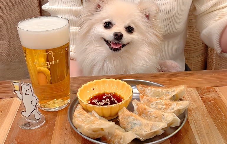 ビール専用餃子とゆめちゃん
