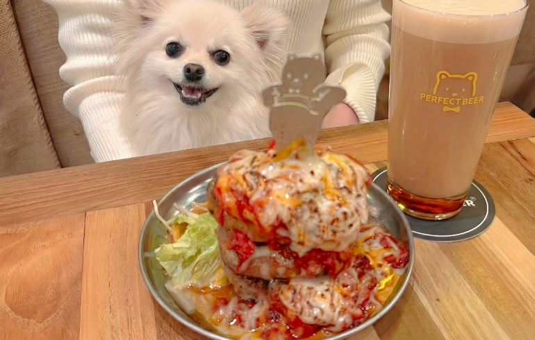 ビアバーグとゆめちゃん