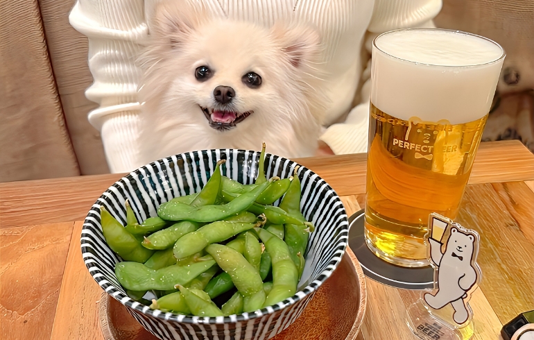 ビア豆とゆめちゃん