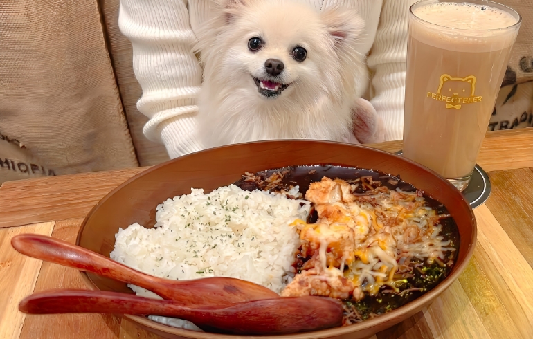黒ビールカレーとゆめちゃん