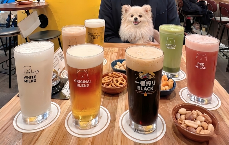 クラフトビール各種とゆめちゃん