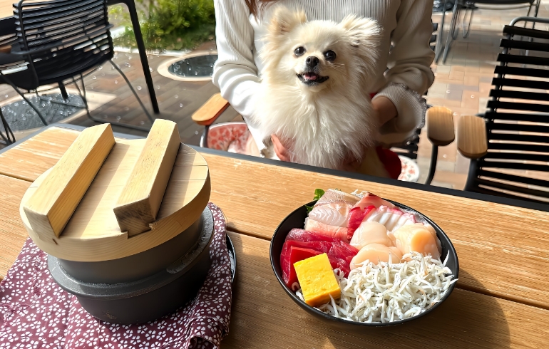 生しらす