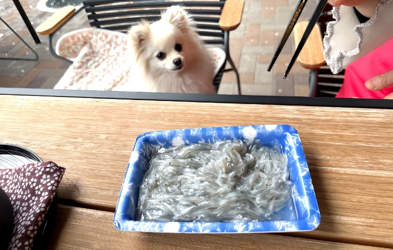 お米屋さん