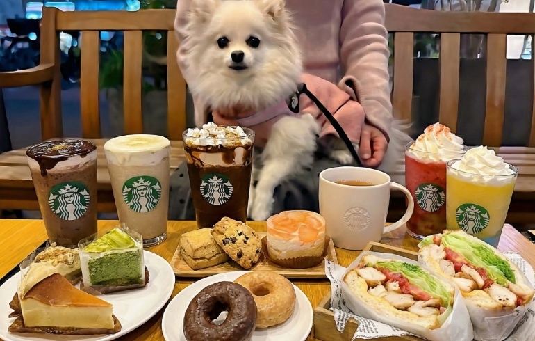 コーヒーやフード各種とゆめちゃん
