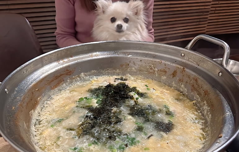 雑炊セット（出来上がり）とゆめちゃん