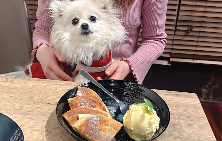 自家製ホットクとゆめちゃん