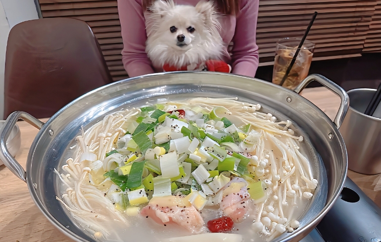 タッカンマリとゆめちゃん