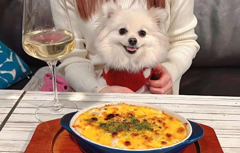 とろ〜りチーズの熱々グラタン