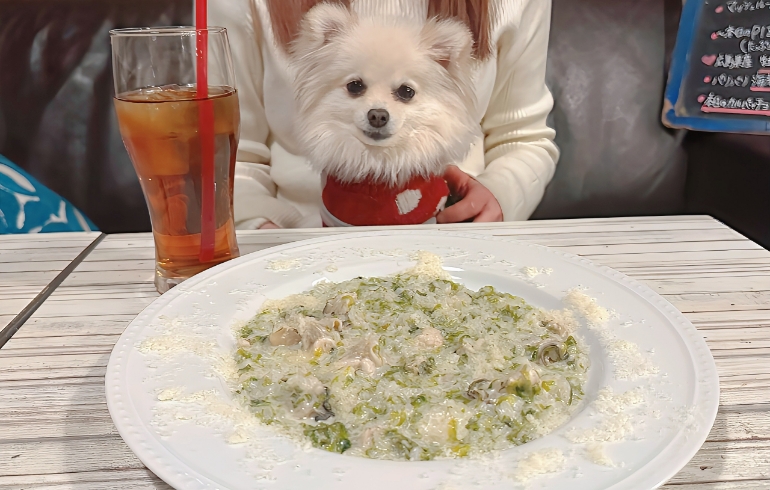 牡蠣と岩のりのクリームリゾット