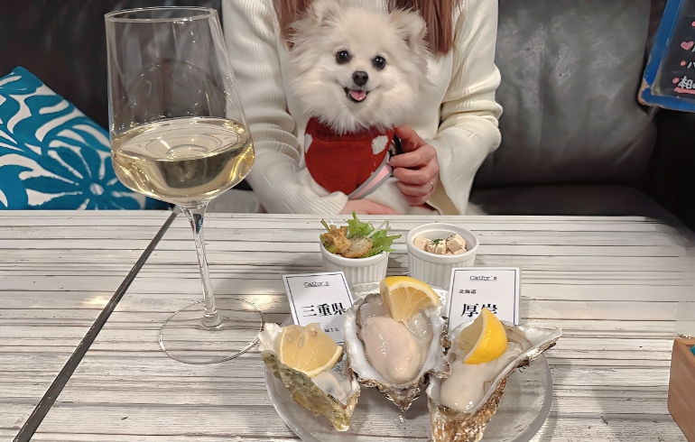 牡蠣食べ比べ（生牡蠣）とゆめちゃん