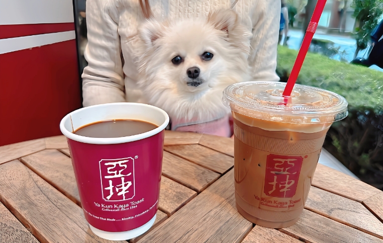 ドリンク各種とゆめちゃん