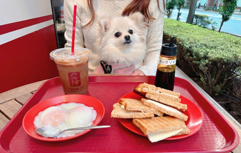 カヤモーニングセットとゆめちゃん