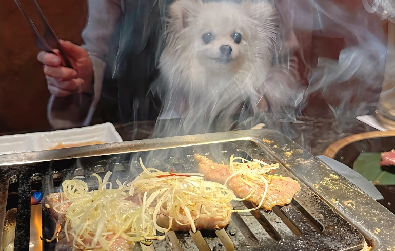 ネギたん（焼き中）とゆめちゃん