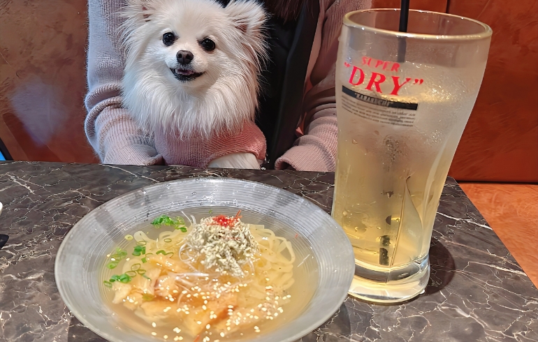 冷麺とゆめちゃん