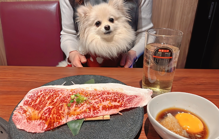 サーロイン焼きしゃぶとゆめちゃん