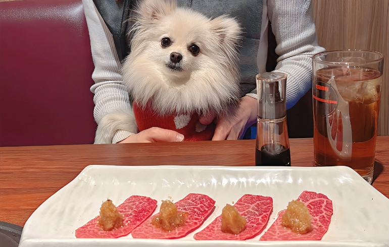和牛おろしポン酢（上ロース）とゆめちゃん