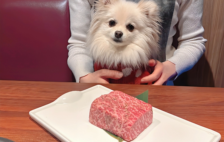 塊肉とゆめちゃん