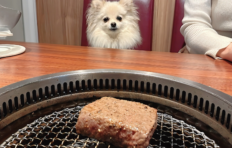 塊肉（焼き中）とゆめちゃん
