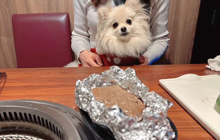 塊肉（焼き後）とゆめちゃん