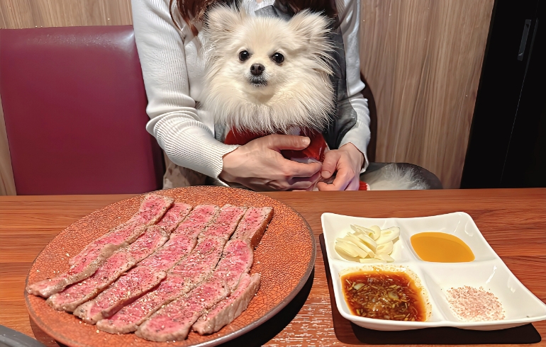 塊肉（カット調理後）とゆめちゃん