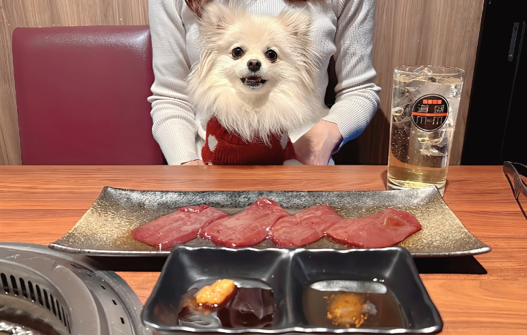 3秒炙りレバーとゆめちゃん