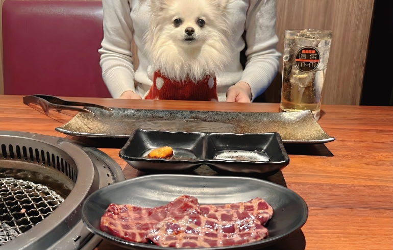 3秒炙りレバー（焼き後）とゆめちゃん