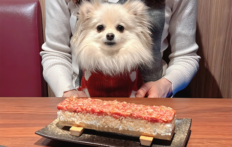 炙りユッケ寿司とゆめちゃん