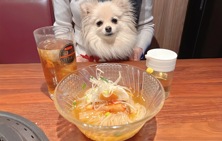 冷麺とゆめちゃん