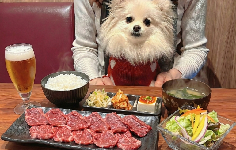 お得なランチセットとゆめちゃん