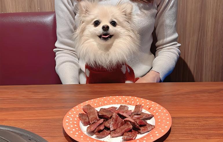 犬用焼肉とゆめちゃん