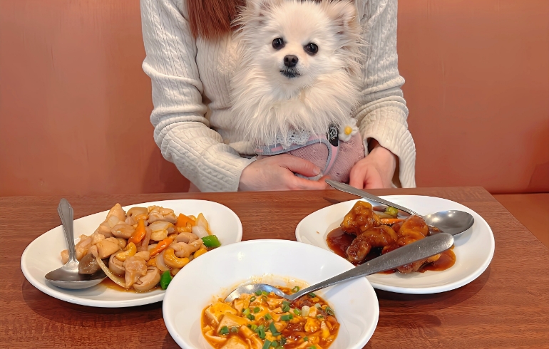 食べ放題料理とゆめちゃん4