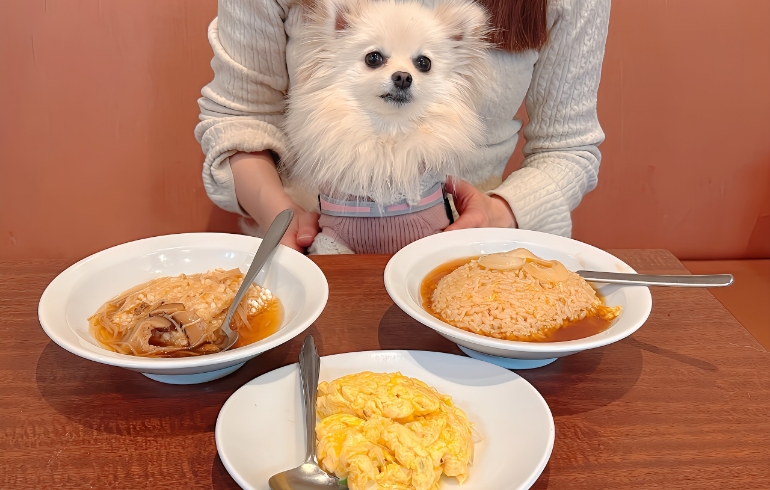 食べ放題料理とゆめちゃん5