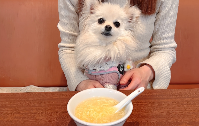 食べ放題料理とゆめちゃん6
