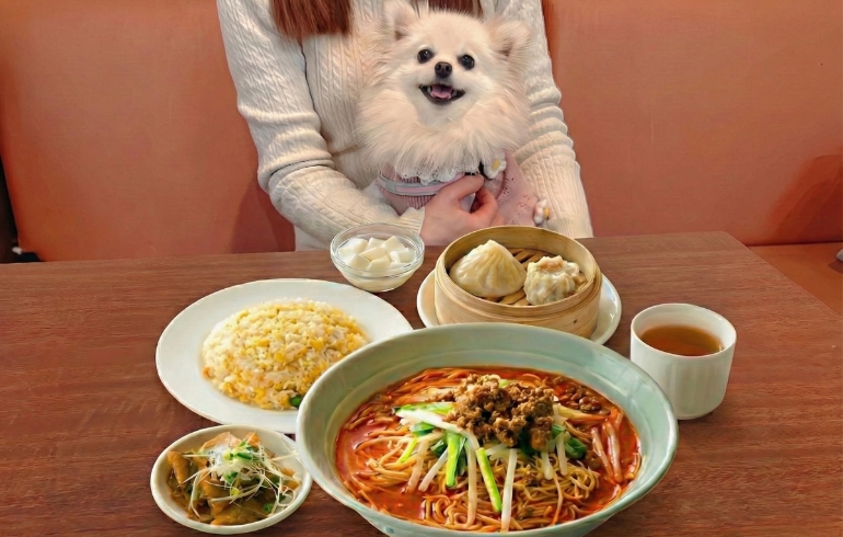 お得なランチとゆめちゃん