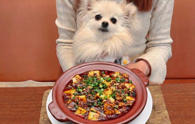 四川麻婆豆腐とゆめちゃん
