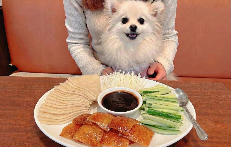北京ダックとゆめちゃん